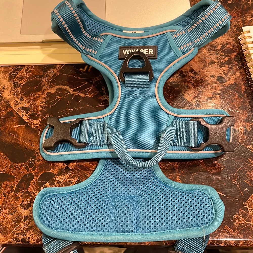 Dog blue harness voyager